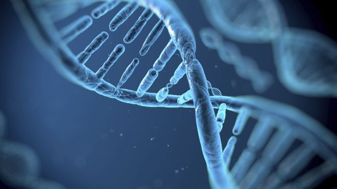 ADN ul poate fi editat